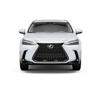 2026 Lexus NX 450h+ Luxury - Photo 16