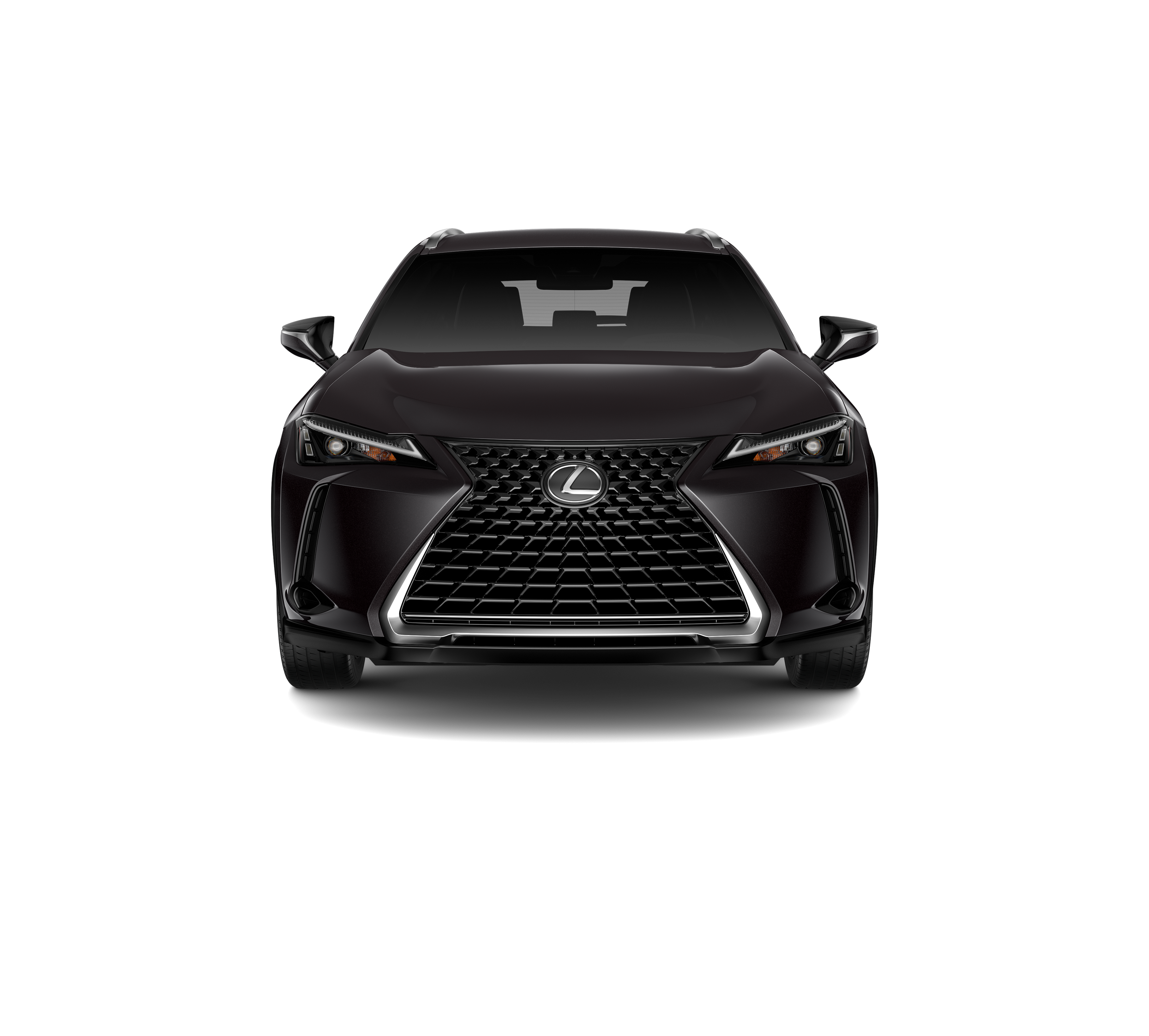 New 2026 Caviar Lexus UX 300h image 5