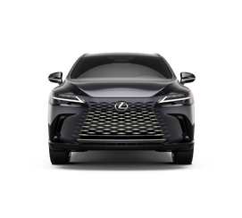2026 Lexus RX 350 Luxury - Photo 21