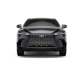 2026 Lexus RX 350 Luxury - Photo 21