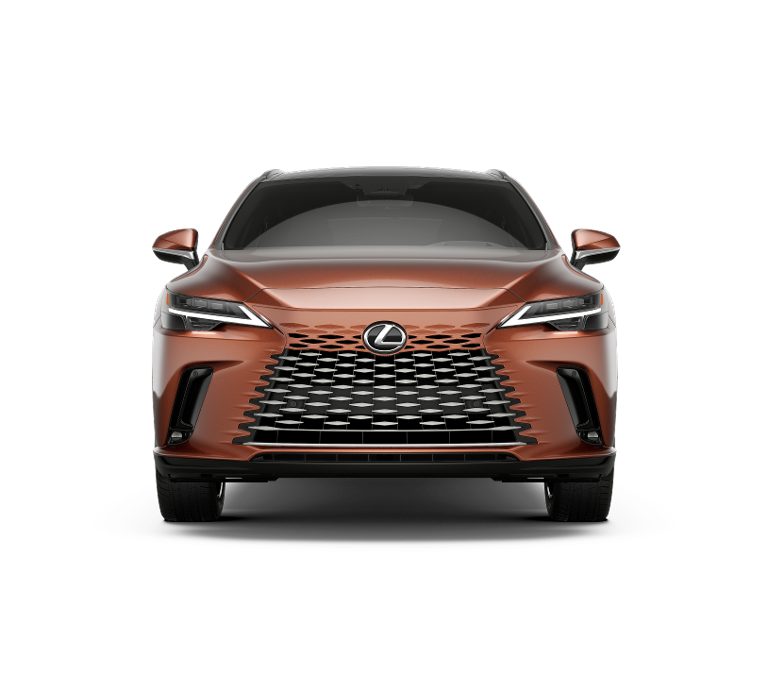 2025 Lexus RX 350 Luxury AWD photo 3