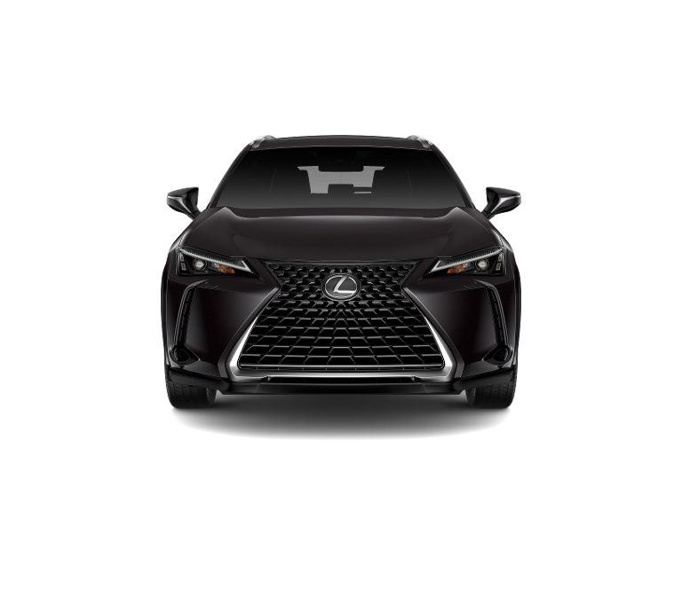 2025 Lexus UX Premium photo 5
