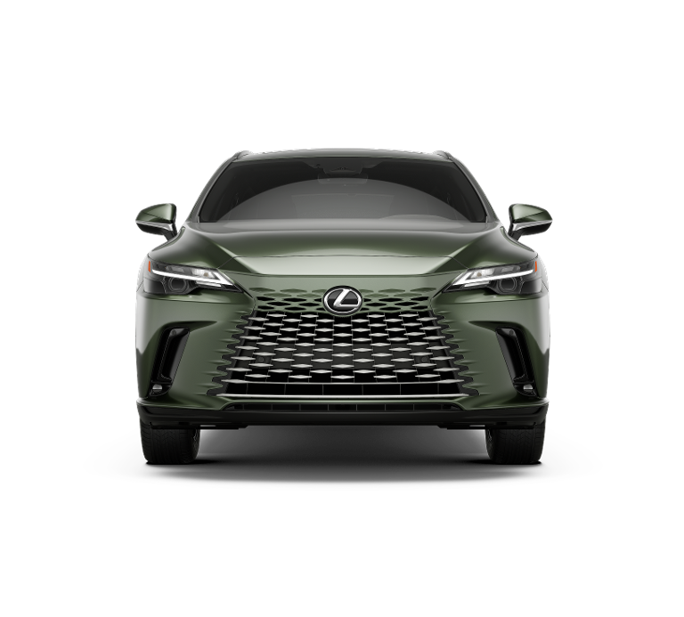 2025 Lexus RX 350h Premium AWD photo 5