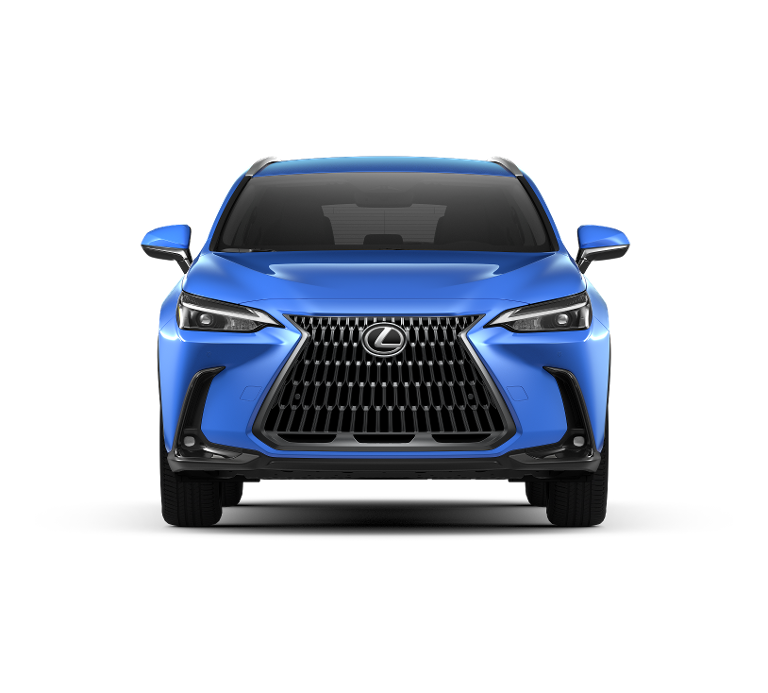 2025 Lexus NX 350h Luxury AWD photo 5