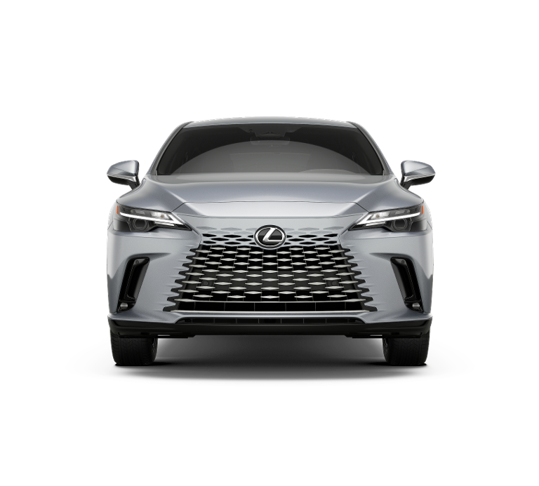 2025 Lexus RX 350 photo 2