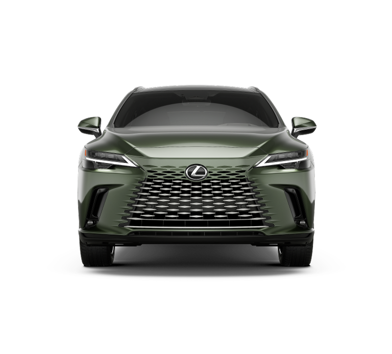 2025 Lexus RX 450h+ Luxury AWD photo 4