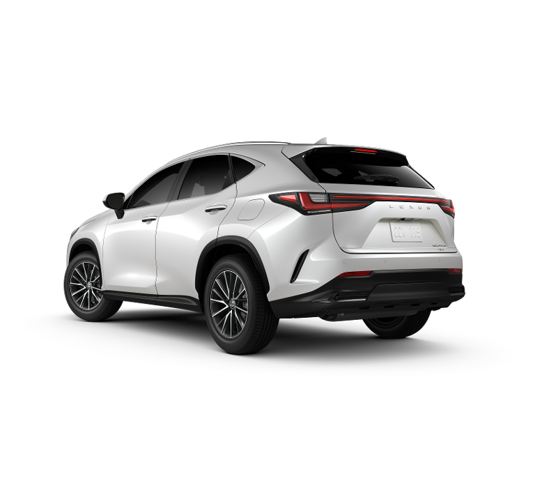 2025 Lexus NX 350h Luxury AWD photo 3