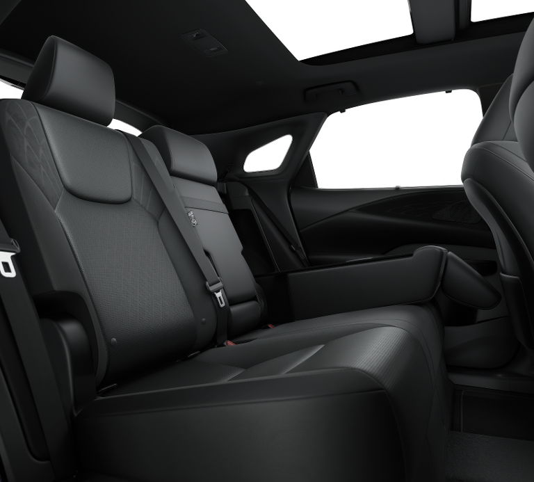 2025 Lexus RX 350h Luxury AWD photo 6