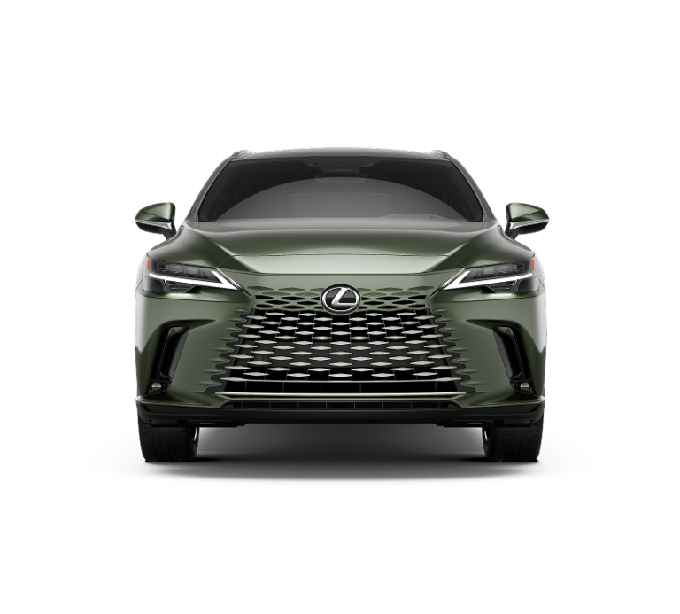 2025 Lexus RX 350 Luxury AWD photo 4
