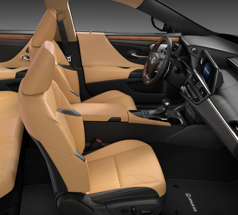 2025 Lexus ES 300h Luxury photo 5