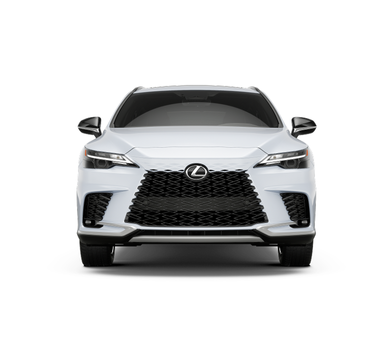 2025 Lexus RX 350 F SPORT AWD photo 3