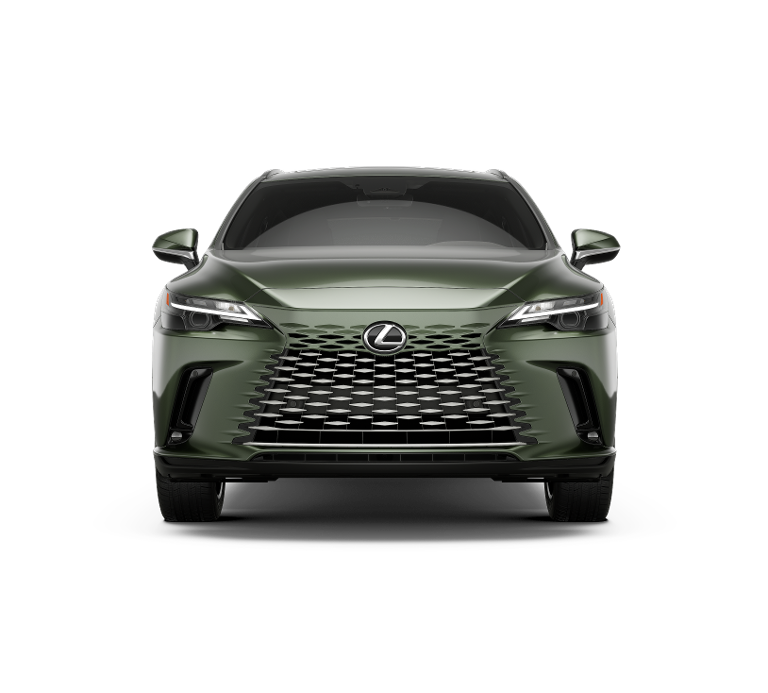 2025 Lexus RX 350h Premium AWD photo 4
