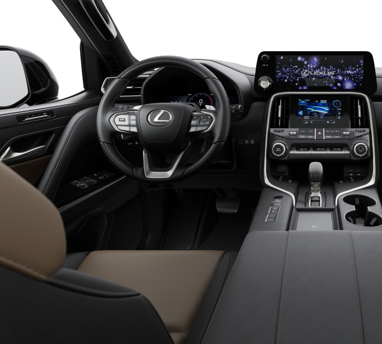 2025 Lexus LX photo 5