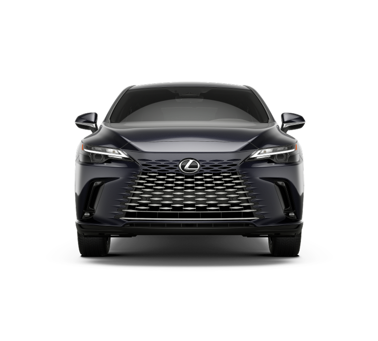 2025 Lexus RX 350 photo 4