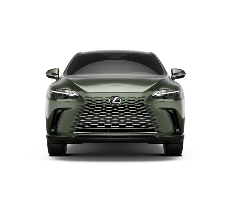2025 Lexus RX 350 photo 5