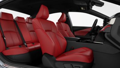 New 2025 Toyota Camry XSE XSE XSE (Natl) in Miami Toyota of North Miami